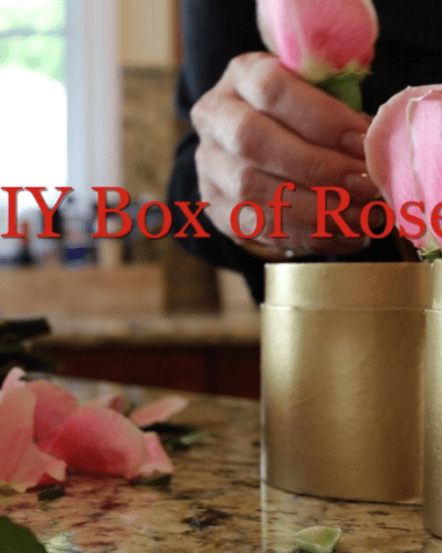 DIY on the FLY Box of Roses
