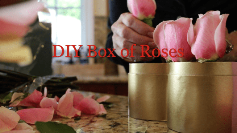 DIY on the FLY Box of Roses